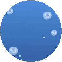 Brinquedosmultikids Sticker by Multikids