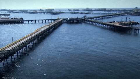 henriqueclaudino1 giphyupload GIF