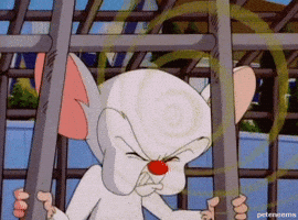 Warner Bros 90S GIF