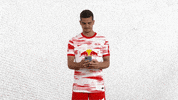 Excited Champions League GIF by RB Leipzig
