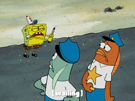 season 4 GIF by SpongeBob SquarePants