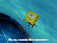 season 3 GIF by SpongeBob SquarePants