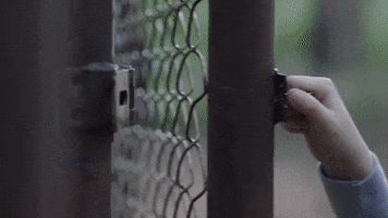 TheAvenue_Film friends florida tiger best friends GIF