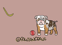 Lets Play Dog GIF