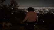 Los Angeles Dog GIF