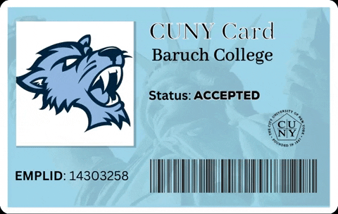 baruch_admission giphygifmaker admissions cuny bearcat GIF
