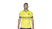 Roel Janssen Sticker by VVV-Venlo