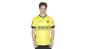 Juichen Sticker by VVV-Venlo