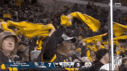 National Football League GIF by NFL