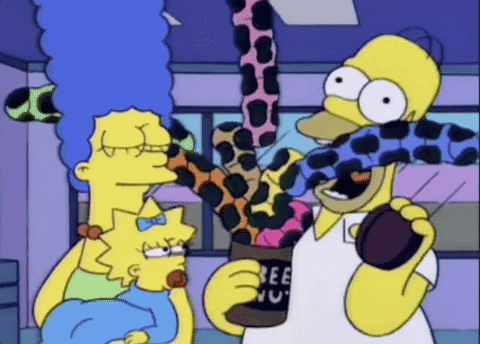 jbohringer giphygifgrabber GIF