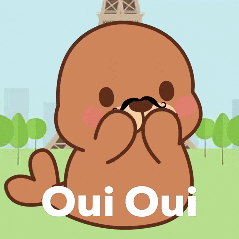 France Paris GIF by FROSTYS