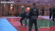 martial arts mma GIF by AKBAN Academy