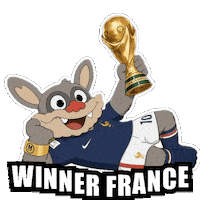 France Win Sticker