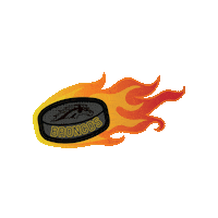 Western Michigan University Kalamazoo Sticker by WMU Alumni