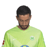Vfl Wolfsburg Smile Sticker by Bundesliga