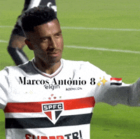 Sao Paulo GIF