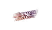 Maria Clara Sticker by 1B Music