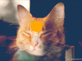 ziggy stardust animation GIF