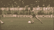 lothar huber bundesliga GIF by Borussia Dortmund