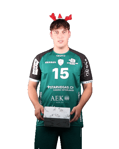 Baumann Sticker by Wacker Thun