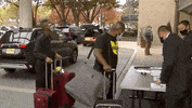 Jamaal Bowman GIF by GIPHY News