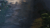 Crash Mud GIF by Xbox