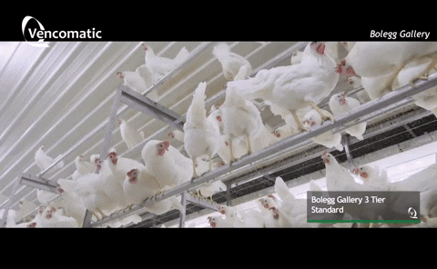 AgroSklep giphygifmaker GIF