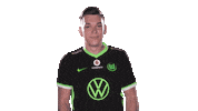 E Sports Sport Sticker by VfL Wolfsburg