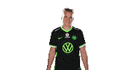 E Sports Sport Sticker by VfL Wolfsburg