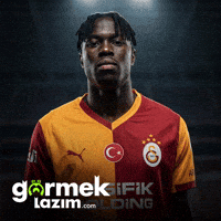 Wilfried GIF by Görmek Lazım