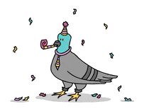 party pigeon GIF by Caroline Director