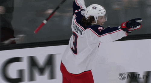 Ice Hockey Sport GIF by NHL