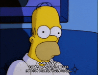 homer simpson episode 3 GIF