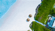 lxbahamas  GIF