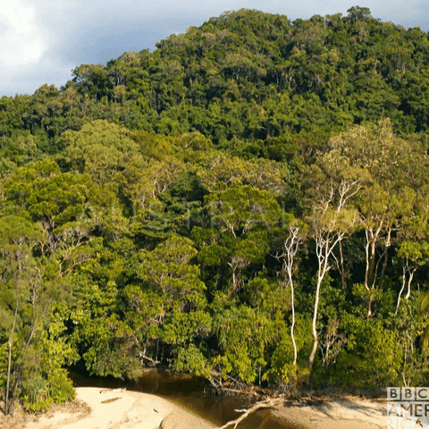 Australia One Planet GIF by BBC America