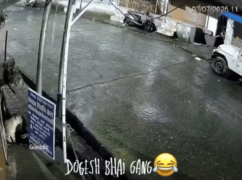 cuteanimalland giphyupload GIF