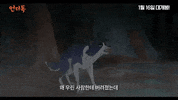 The Underdog GIF