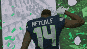 American Football GIF by Seattle Seahawks