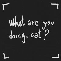 GIF by hoppip