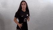 WJUCardinals wheeling university wheeling soccer wheeling wsoc GIF