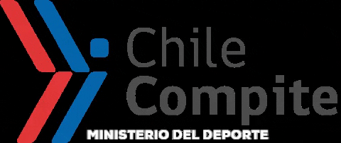 Mindepchile giphygifmaker chile deporte gobierno GIF