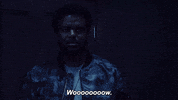 fox tv wow GIF by Ghosted