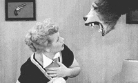 i love lucy GIF