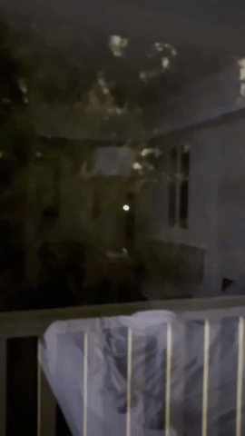 kellytraceygagnon giphyupload GIF