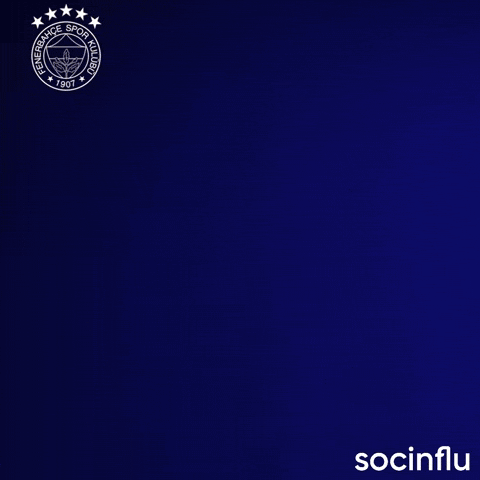 Milan Skriniar GIF by Socinflu