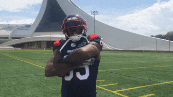 Montreal Alouettes Football GIF by Alouettes de Montréal