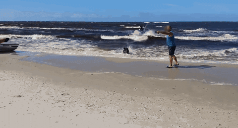 GIF by Mashable