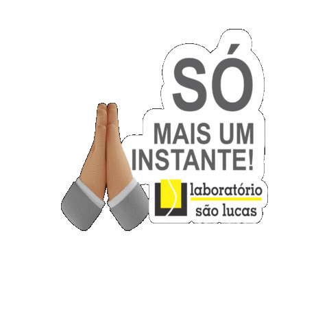 laborsaolucas giphygifmaker Sticker