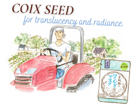 Japan Skincare Sticker by KOSÉ Cosmeport