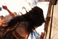 Sexy Pool Party GIF by brazz.inc